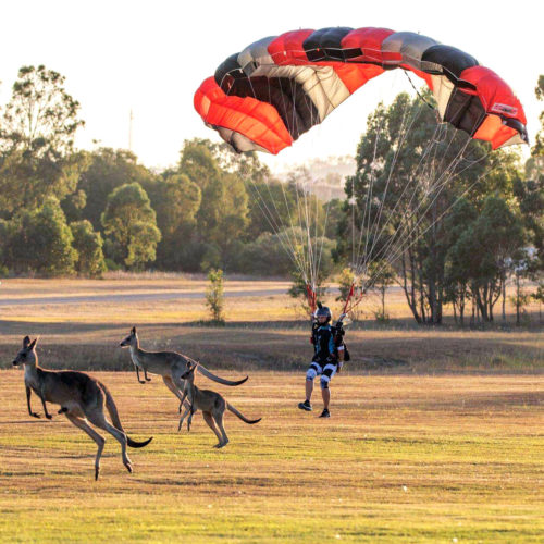 Parachute Facts & Types: What You Need to Know